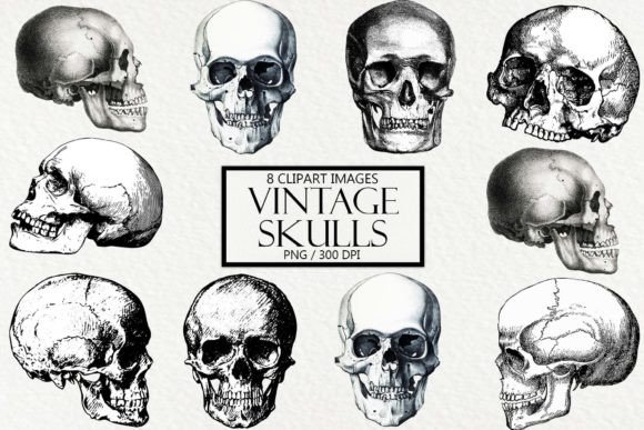 8 Essential Vintage Skulls Clipart for Creators
