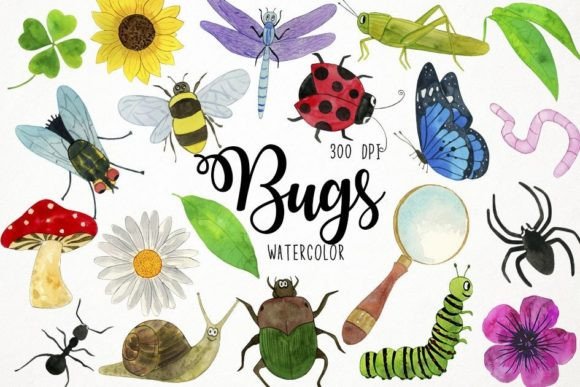 Bringing Nature to Life: The Versatility of Watercolor Bugs Clipart